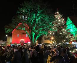 Das Bild zeigt einen grün beleuchteten Baum auf dem Weihnachtsmarkt.